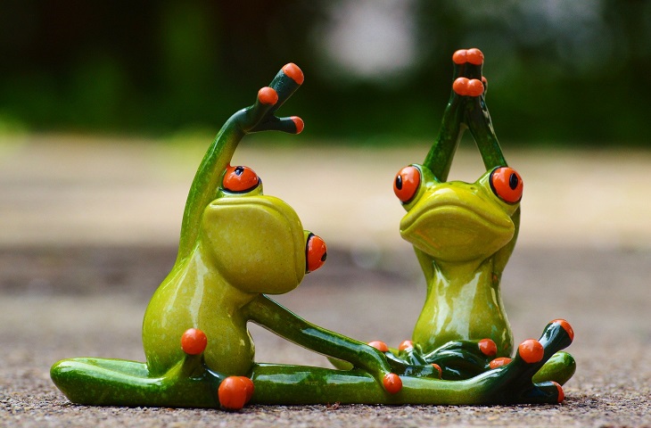 dwie figurki żab, które  gimnastykują się