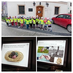 kolaż 3 zdjęć, na górnym zdjęciu dzieci w kamizelkach odblaskowych stoją na tle Zamku Piastowskiego, na dolnym zdjęciu po lewej stronie jest koszyczek wielkanocny z trzema pisankami, na dolnym zdjęciu po prawej stronie zdjęcie prezentacji na temat zwyczajów wielkanocnych 