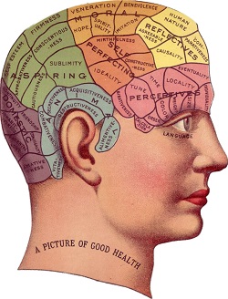 Głowa człowieka w miejscu mózgu podzielone obszary wiedzy