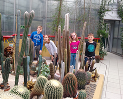 Dzieci wśród kaktusów w Miejskiej Palmiarni w Gliwicach