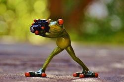 Figurka żaby z aparatem fotograficznym
