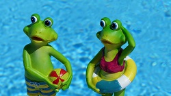 dwie żaby w strojach letnich
