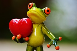 żaba z sercem