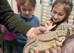 Na zdjęciu widzimy dzieci oglądające jaszczurkę, którą trzyma dorosła osoba na dłoni. Jaszczurka wygląda na agama brodata lub podobny gatunek. Dzieci są wyraźnie zainteresowane, a ich wyraz twarzy wskazuje na ciekawość i entuzjazm.