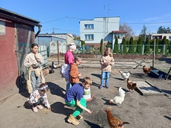 Dzieci w ramach wycieczki do animal word karmią kury