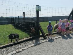 dzieci stoją przy siatce za którą znajdują się zwierzęta- kozy