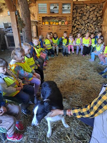 dzieci na wycieczce w odblaskowych koszulkach siedzących w kole