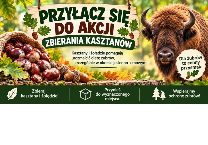 żubry