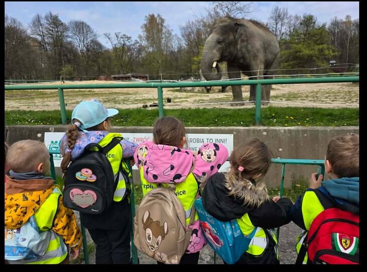 dzieci w zoo, stojące tyłem i obserwujące słonia w tle