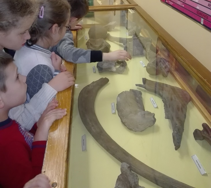 Dzieci oglądają szklaną gablotę, w której znajdują się skały pochodzące z wykopalisk